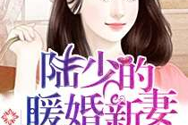 陆少的暖婚新妻免费阅读小说,甜蜜宠溺的婚后生活