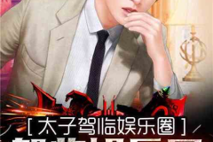 娱乐圈吃瓜唱歌小说,瓜田歌声，爱恨情仇