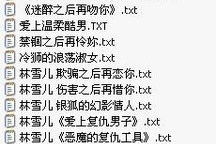 林雪儿小说合集下载,浪漫情感之旅