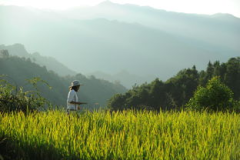 娱乐吃瓜酱拐进山里,拐进神秘山林探险记