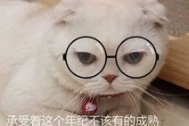 娱乐吃瓜君说刘二豆